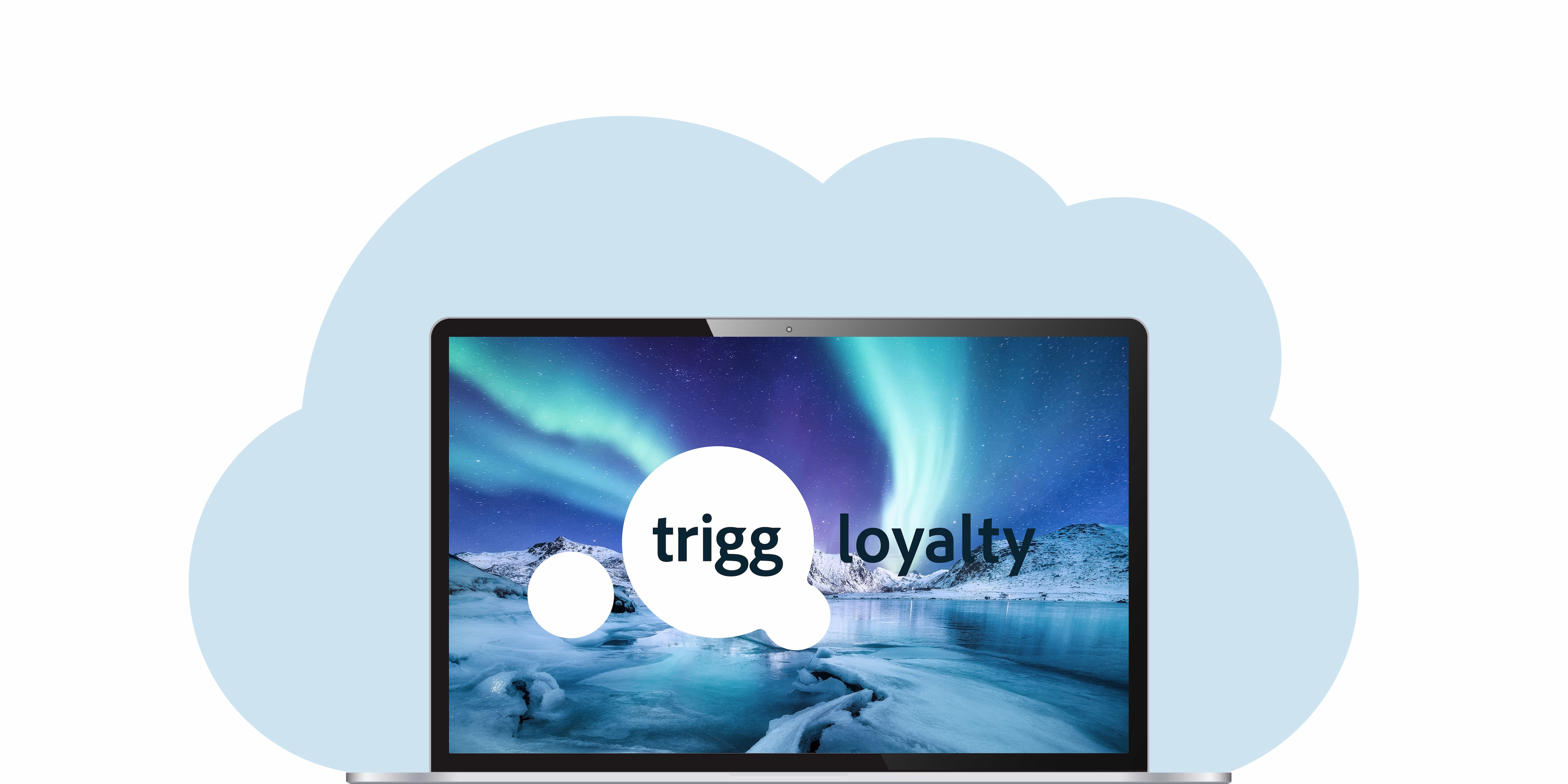 Trigg Loyalty